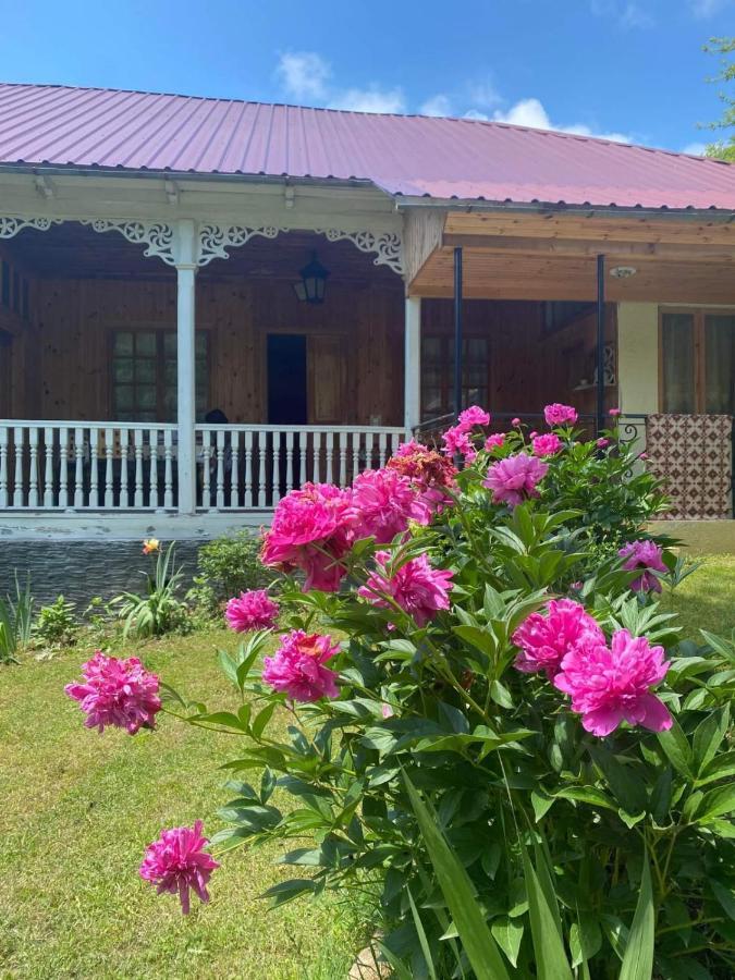 Guest House Lailashi Surmushi エクステリア 写真