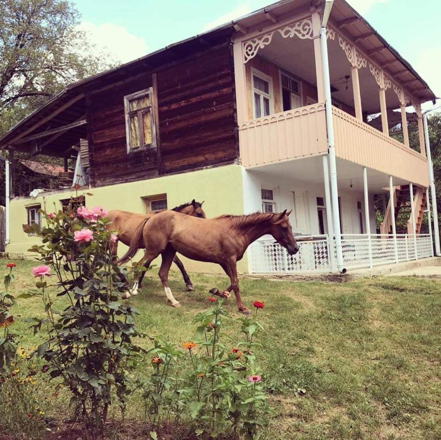 Guest House Lailashi Surmushi エクステリア 写真